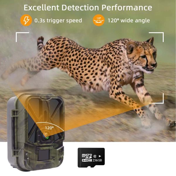 Caméras 4G Caméra de trail de chasse vidéo en direct avec batterie au lithium de 10000mA