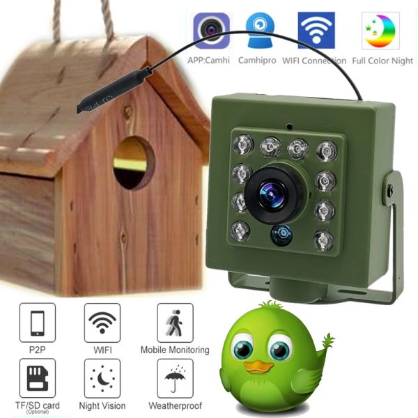 Cameras Green Wifi Bird Box Box Camera Kit RTMP Live Audio 1920p 1080p IR Cut Vision Night RTSP FTP MINI IP IPC PET NEST BOIGNE REGARDER CAMHI