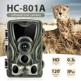 Caméras HC801a Suntek Hunting Camera Fototrampeo Wildlife Camera 1080p Night Vision Imperproof Surveillance