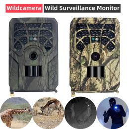 Caméras Caméra de chasse 5MP 720p Imperpose Wildcamera Wild Surveillance Monitor infrarouge Night Version Photo Tracking Caméras