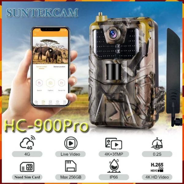 Caméras Caméra de chasse HC900pro Night Vision Outdoor 4G avec application Remote Control Trail Camera 4K Video 36MP Photo Live Show Wildlife