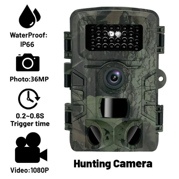 Caméras Caméra de chasse PR700 HUNTING TRAP Game Mini Trail Camera 16MP 1080P Infrarouge Wildlife Cam Prise en charge de la carte mémoire Vision nocturne IP54