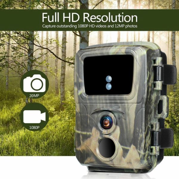 Cameras Mini Trail Camera PR600 1080p Game Cameras Vision Night Motion Activé d'étanché