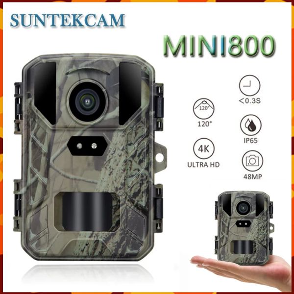 Cámaras Nuevos Mini800 Cámara de sendero de caza 48MP 4K Infrarrojo al aire libre Cámara de arco de bajo resplandor Reconocimiento de vida silvestre impermeable