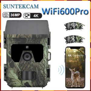 Caméras Nouvelles caméras de chasse solaire Caméra WiFi600Pro Bluetooth WiFi Outdoor Superdoor Camera 4K Vidéo 36MP App Video en ligne