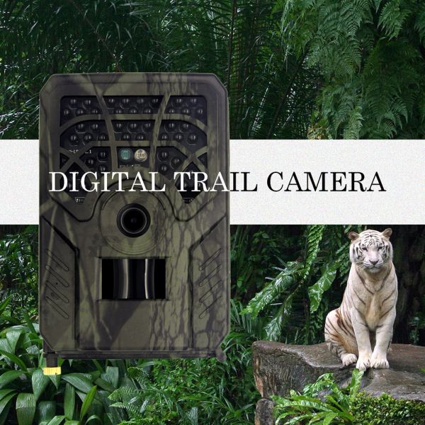 Cameras PR300C Caméra de piste de chasse 5MP 720p Caméra de vision nocturne APAPERIE INFRARGE LA CAMERIE DE TROUPE WILDCAMERA