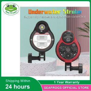 Camera's Seafrogs ST100 Pro Waterdichte flitsstrobe voor A6500 A6000 A7 II RX100 I/II/III/IV/V onderwaterafhankelijke behuizingen Duikkast