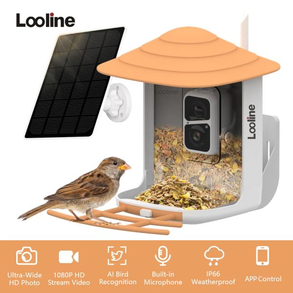 Cámaras Cámara de alimentación de aves inteligentes con panel solar wifi inalámbrico 1080p HD Bird observando cámara Captura automática Videos de aves Detección de movimiento