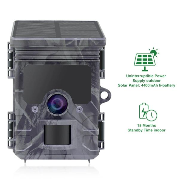 Caméras Caméra de chasse solaire Caméra infrarouge Induction Automatique Surveillance Trap à la faune Caméra Prime de piste 24MP 1296P