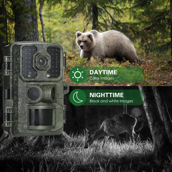 Camera Trail Camera 16MP 4K Cámara de caza de juegos impermeable con visión nocturna para la caza de monitoreo de vida silvestre