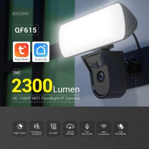 Caméras Caméra Caméra IP WiFi APP avec 2300Lumen Livrer 2MP 1080p Dual Light Source Night Vision PIR PIR Motion Detection Security Monitor