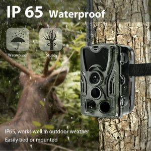 Caméras Wildlife Trail Camera Caméra Caméras Infrarouge Caméras 2G MMS PHOTO VIDEO SURVEILLANCE 16MP 1080P SMS Vision nocturne