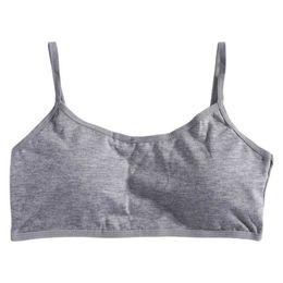 Camisole Girls Bra Youth Crop Top Sous -wear Vest Puberty Sports Training Bra Color Street Street Tube Top Girls Birthday Giftl240502