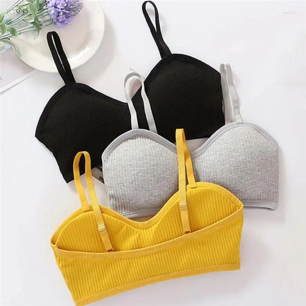 Camisolas sin mangas Ribb de punto belleza espalda sujetador sin costuras Bralette Sexy sin aros sujetadores para mujeres Top mujer sujetador profundo V ropa interior