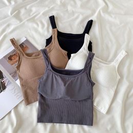 CAMISOS Tanks Spcity Koreaanse mode Simple Striped Dames Camisole Sport Katoen naadloos met borstbladen BH Bra ademen