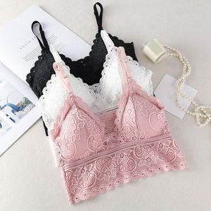 Camisoles réservoirs sans fil femmes soutien-gorge dentelle Bralette profonde V broderie florale débardeur recadrée Camis