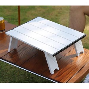 Camp Furniture Aluminium Legering Vouwbare plaattafel met Carry Bag Coffee Computer Desk voor BBQ Camping Tent Outdoor BBQ