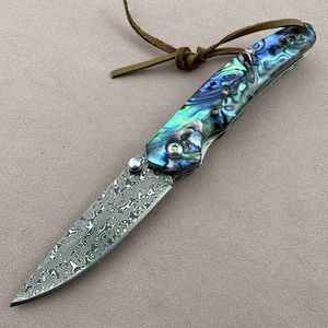 Camping Jachtmessen Uitstekende Handgemaakte Ourdoor Mes 167 Lagen VG10 Real Damascus Blade Abalone Shell Handvat Super Scherp Geschenkdoos Camping EDC FishHKD230626