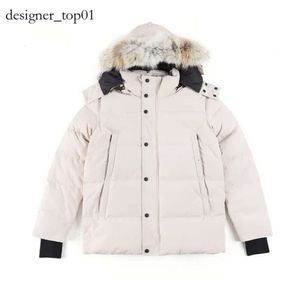 CAN DOWN JENKING Designer Jacket 12 Colours Vêtements Top Quality Canada G08 G29 REAL FUR CANADAS MENS Veste femme Coat White Duck Down Vestes Winter Parka 5800