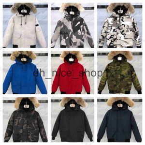 Canada Goose Jacket Men's Down Parkas Womans Down Parkas Doudoune Manteau Canda Gooses Longue doudoune d'oie du Canada Stone Down North Jacket 1DXA