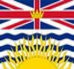 Drapeau britannique du Canada, bannière en Polyester, 3 pieds x 5 pieds, 150x90cm, drapeau personnalisé pour l'extérieur, 6973995