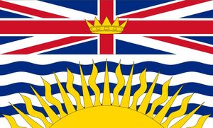Drapeau du Canada de la colombie-britannique, bannière volante en Polyester, 3 pieds x 5 pieds, 150x90cm, drapeau personnalisé pour l'extérieur