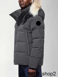 chaqueta de gansos de Canadá Parkas Canadá Chaquetas acolchadas Diseñador Real Coyote Fur Outdoor Wyndham Windbreaker Jassen Prendas de abrigo con capucha 5 AGAT AGAT AGAT