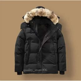 Canada Puffer Jackets Uomo Designer Vera pelliccia di coyote Outdoor Wyndham Giacca a vento Jassen Capispalla con cappuccio Fourrure Manteau Piumino Cappotto 303