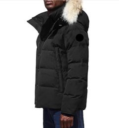 Canada Pufferjassen Heren Designer Echt Coyote Bont Outdoor Wyndham Windjack Jassen Bovenkleding Capuchon Fourrure Manteau Donsjas Hiver Parka