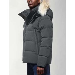 Canadá Puffer Chaquetas Hombres Moda Diseñador Al aire libre Wynndham Rompevientos Jassen Prendas de abrigo con capucha Fourrure Manteau Chaqueta de plumón