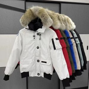 Designer winterdonsjas Canadese ganzen damesmode damesjas witte eend winddichte parka lange leren kraag pet warme jassen