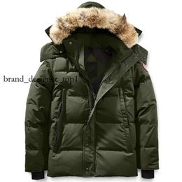 Canadian Brand Men Down Jacket Fourrure Parka Homme Jassen Chaquetas Outwear Wolf Wolf Fur Manteau Wyndham Gooe Veste Coat Hiver Expeditionary Expeditionary 1251