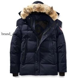 Canadian Brand Men Down Jacket Fourrure Parka Homme Jassen Chaquetas Outwear Wolf Wolf Fur Manteau Wyndham Gooe Veste Coat Hiver Expeditionary Expeditionary 4762