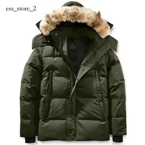 Canadian Goose Haute Qualité Hommes Doudoune Manteau D'oie Réel Big Wolf Fourrure Canada Goode Wyndham Pardessus Vêtements Style De Mode Hiver 741