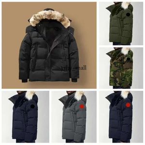 Gansos canadienses Chaquetas Hombres Diseñador Real Coyote Fur Outdoor Wyndham Windbreaker Jassen Prendas de abrigo con capucha Fourrure Chaqueta de plumón para hombre