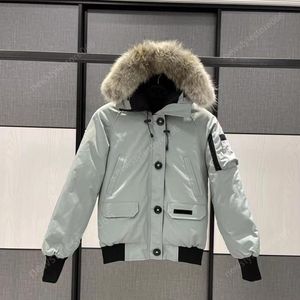 Veste canadienne hommes pilote doudoune vraie fourrure de loup à capuche toile Parkas lettre Patch poches zippées chaud épais vêtements d'extérieur Designer 764 956