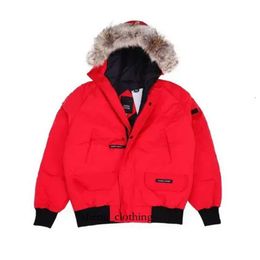 Canda Goose Jacket Designer Goose Coat Winter Piloot Jacket Designer Men Dames Down Parkas Homme Outerwear Coats 4873 Gooseberry