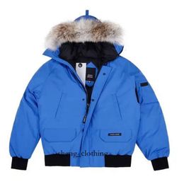 Canda Goose Jacket Designer Goose Coat Winter Piloot Jacket Designer Men Dames Down Parkas Homme Outerwear Coats 7872 Gooseberry