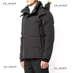 Canda Goose hiver Fourrure vers le bas Canda Goose veste Parka Homme Jassen Chaquetas vêtements d'extérieur loup Fourrure à capuche veste d'oie 2492