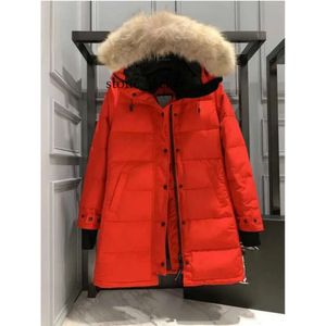 Candas Goose Brand Jackets Manteau pour hommes Canadas Goose Goose Manteau d'hiver Dames Surmonter le manteau coupe-vent Mode féminine Manteau chaud décontracté Costume froid antarctique 2270