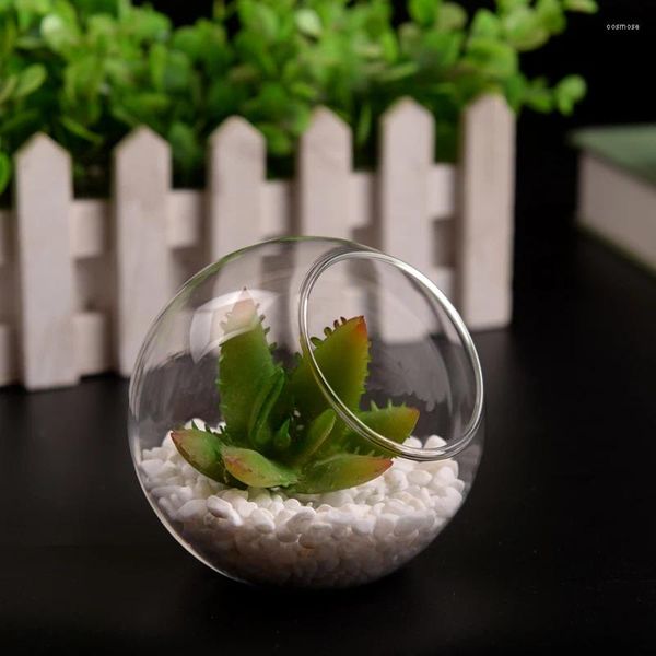 Bandlers diamètre 10 cm côté milieu de taille ouverte conception de verre coule terrarium paysage conteneur mode maison décorative verre