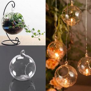 Bandlers Globe Globe Glass Glass Solder Succulent Style Clear Round Light Home Decors Mariage Dia 6cm Thé