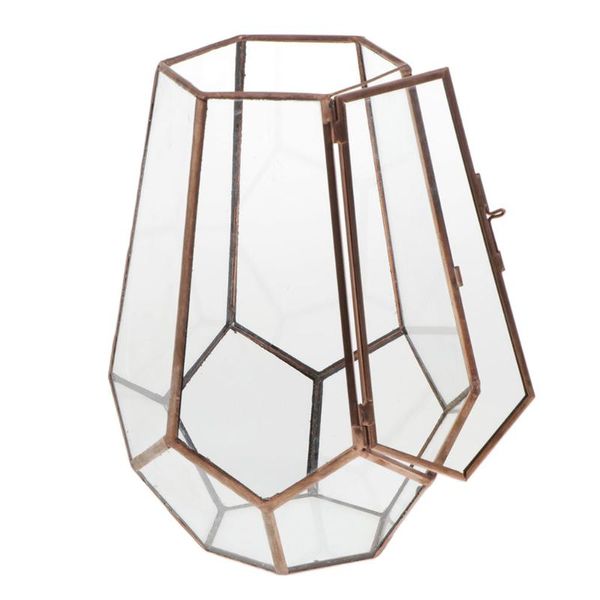 Portavelas Terrario geométrico hexagonal de vidrio único para plantas de aire suculentas - Alto (5.71 X 5.32 7.87 pulgadas)