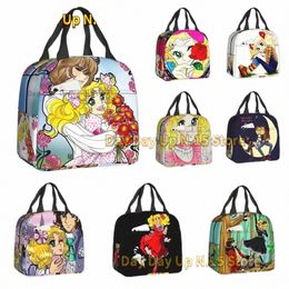 Candy En Terence Geïsoleerde Lunch Tas Voor Vrouwen Waterdichte Anime Manga Koeler Thermische Lunchbox Strand Cam Reizen Lunchbag k0qn #