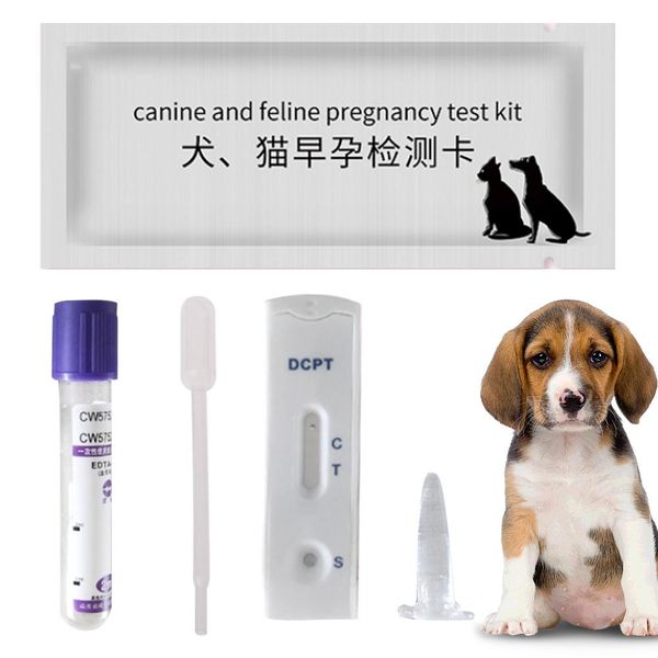 Les bandes de test de la grossesse féline en début de grossesse Kit Méthode de sérum sanguin pour animal de compagnie chat Husky Corgi Golden Retriever Test X4x8