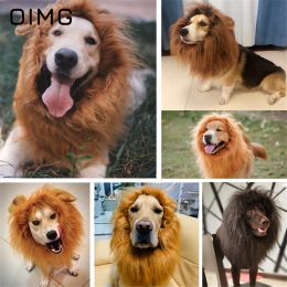 Gorras OIMG, nuevos accesorios para sombrero para mascotas, perro, gato, venta divertida, peluca bonita, cubierta de cabeza de león, sombrero Golden Retriever Labrador Border Terrier