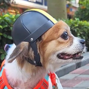Caps Small Pet Casque avec trou d'oreille Casque de chien de moto