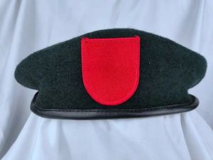 Caps Tomwang2012.US Army 7th Special Forces Group Green Wool Beret Military Copy Copy