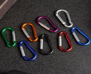 Carabiner Ring Keyrings Key Chain Outdoor Sports Camp Snap Clip Hook Keychains Hiking Aluminium Metal Stainless Steel Hiking Campin9973159