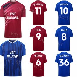 Cardiff Soccer City 12 Ike Ugbo Jersey 2023-24 Club 38 PERRY NG 16 Karlan Grant 21 Jak Alnwick 23 Manolis Siopis 6 Ryan Wintle voetbalshirttenues Team voor sportfans